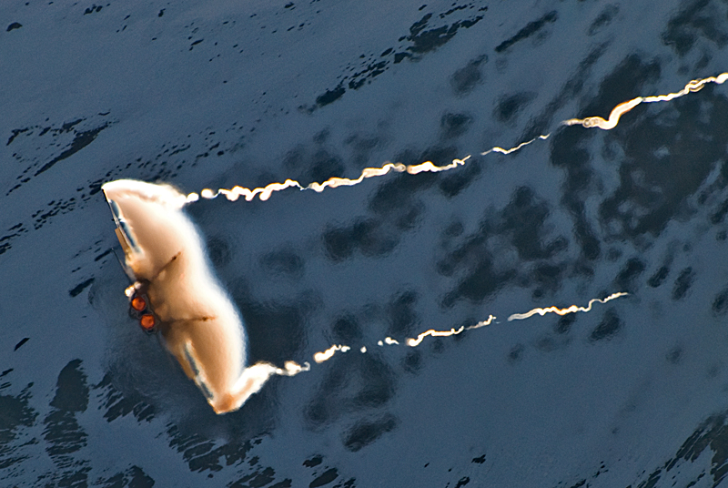 114_Axalp_FA-18C Hornet.jpg